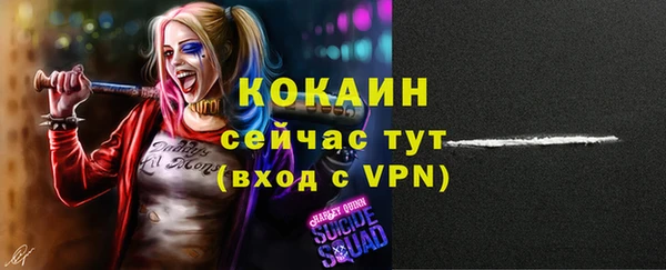 прущие крисы Белокуриха